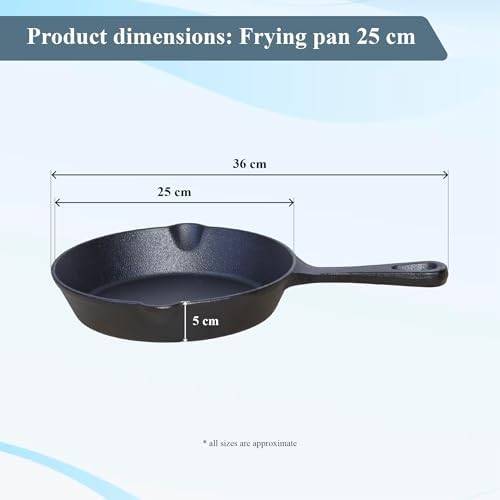 Buckingham 25cm pre-seasoned cast-iron frying skillet
